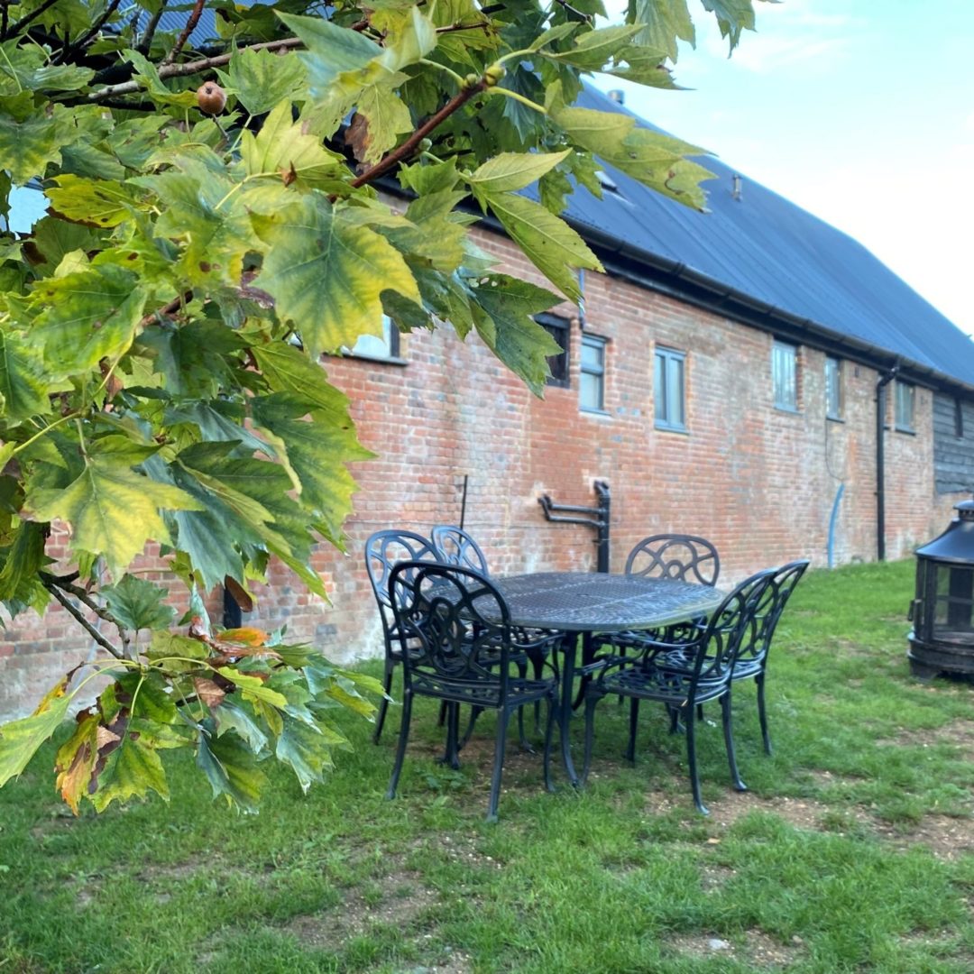 Bluebells outside chairs