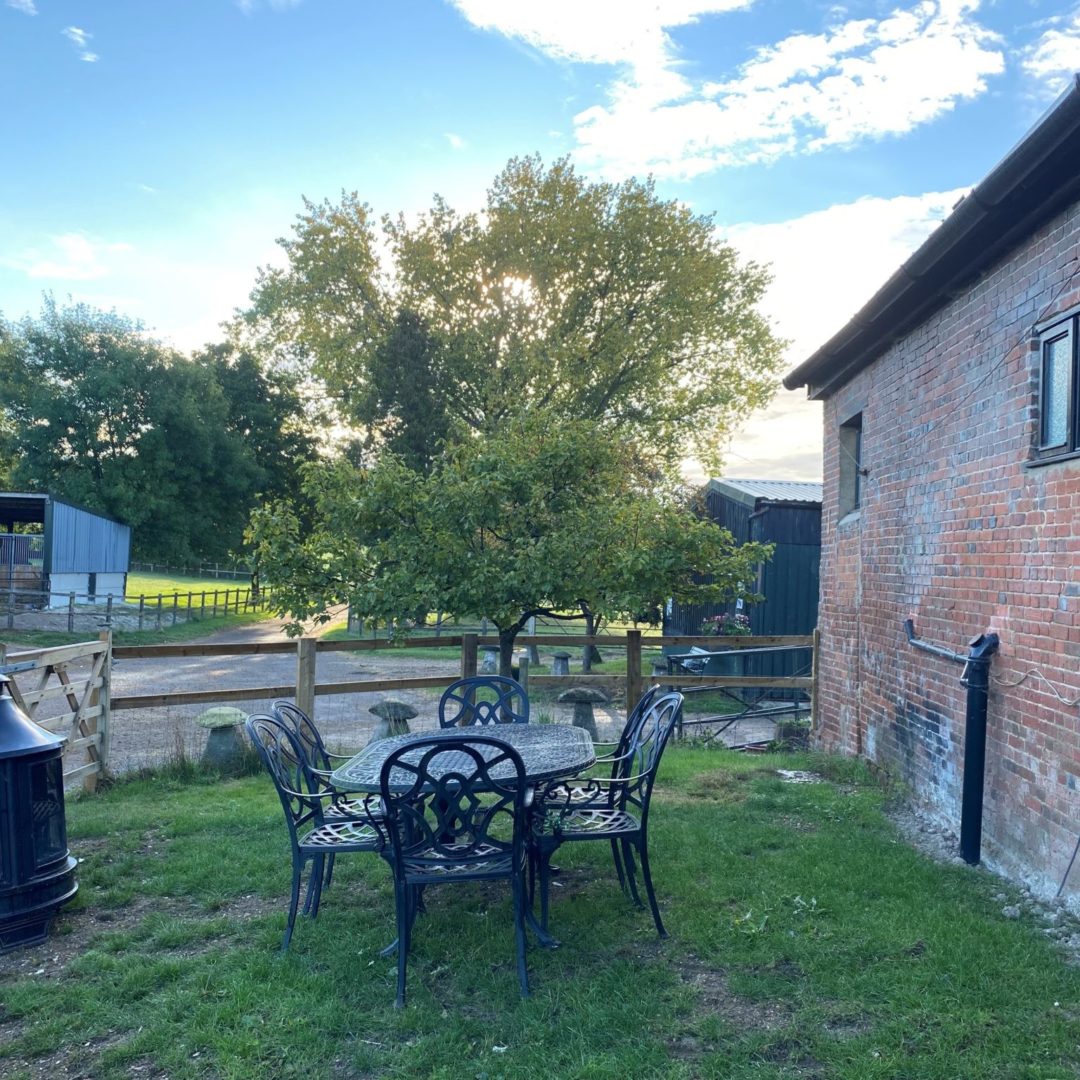 Bluebells outside chairs and firepit