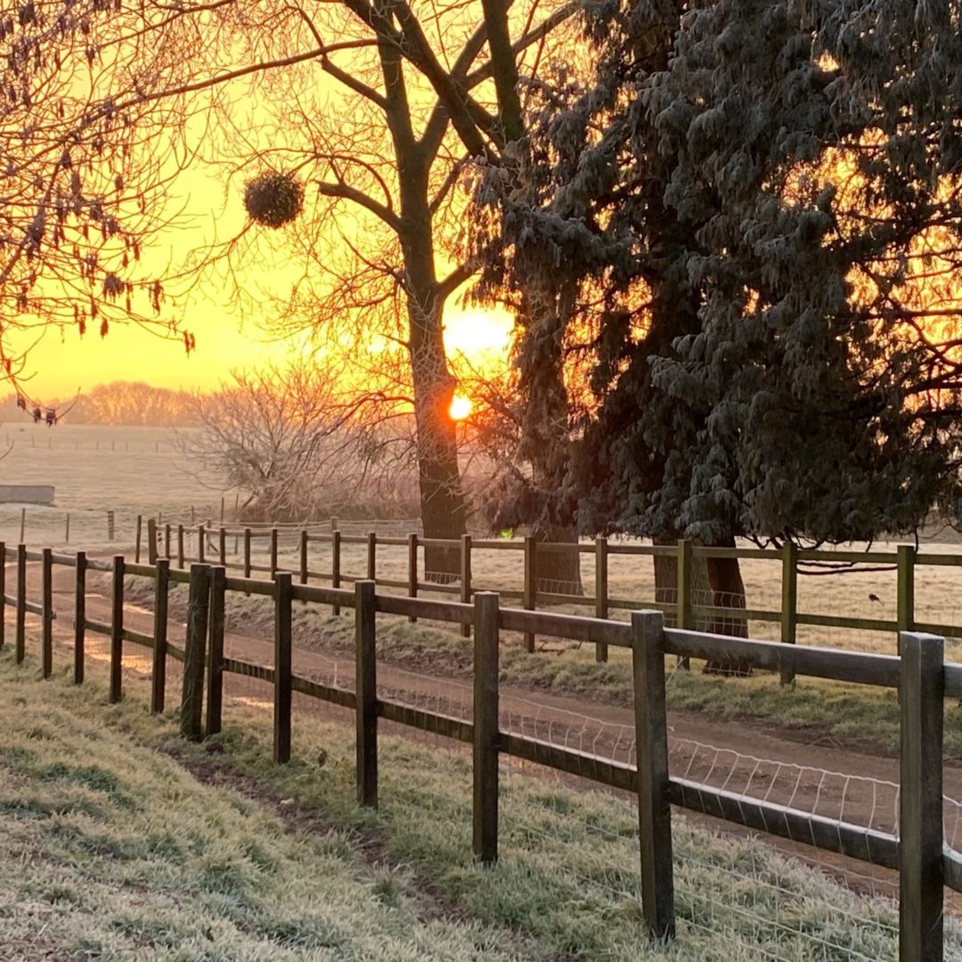 Sunset on road